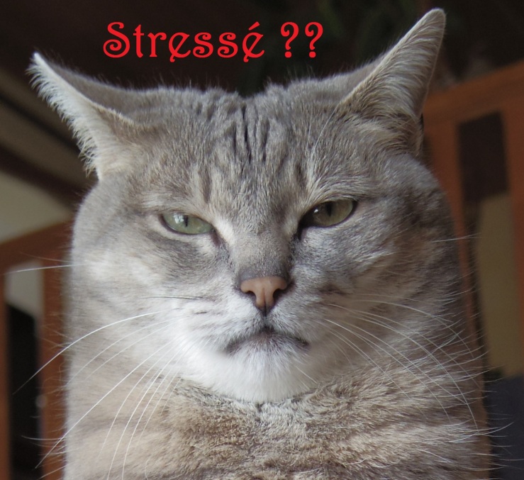 Stressé ? relaxation